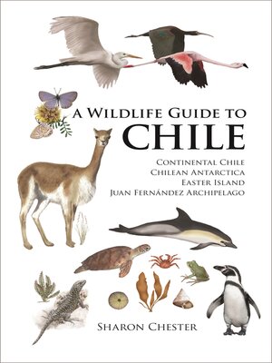 cover image of A Wildlife Guide to Chile